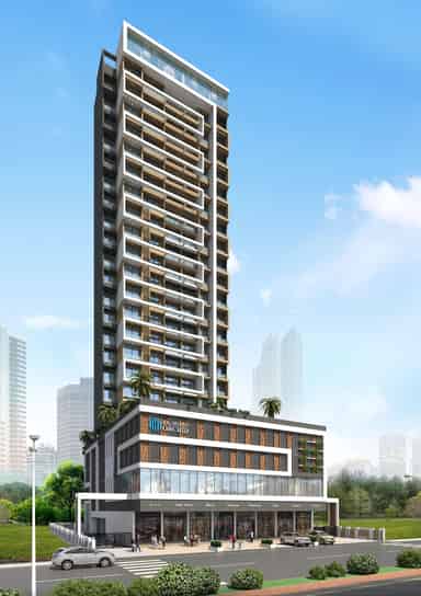 Hitech Orchid Hitech Orchid